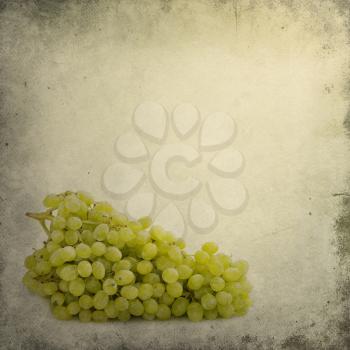 vintage image of grape