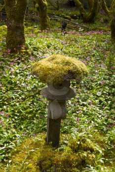 Moss growing on top of stone stature in Japanese Garden