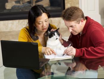 Photo of mature couple, along with family cat, working together at home with fireplace in background  