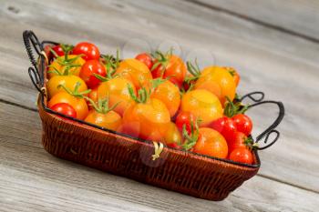 Angled view of garden fresh tomatoes in basket on rustic wooden boards 