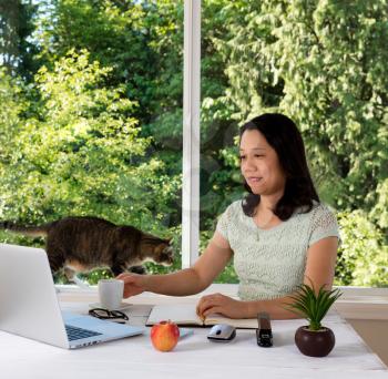 Mature woman working at home with cat and large daylight window in background. 
