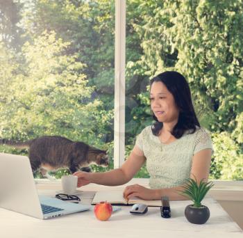 Mature woman working at home with cat and large daylight window in background. Light haze effect applied to image. 