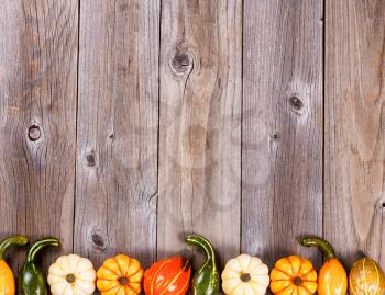 Overhead view of seasonal autumn gourd decorations, lower border, on rustic wooden boards. 