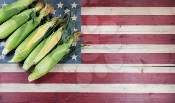 Fresh sweet corn with rustic wooden flag of United States of America