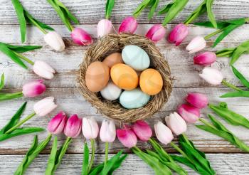 tulips circle border with colorful real eggs inside nest on rustic white wooden boards for Easter Background 