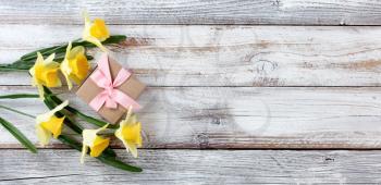 Yellow springtime daffodils and gift box on white weathered wooden boards 