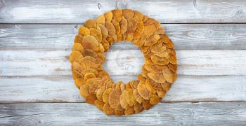 Wreath made of natural fungi or mushroom on white rustic wooden boards