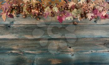 Top border of fading autumn leaves and acorns on rustic blue wooden planks for a Thanksgiving holiday background concept