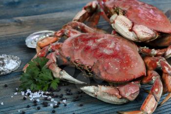 Freshly cooked crab with other ingredients in close up view for seafood background concept  