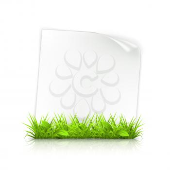 Grass and paper, vector
