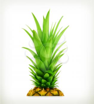 Pineapple top vector