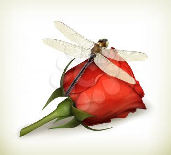 Dragonfly and rose vector