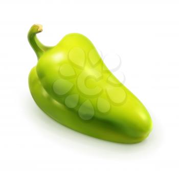 Green pepper, vector illustration