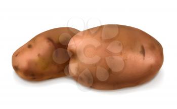 Potatoes, vector illustration