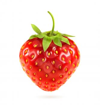 Ripe strawberry, vector illustration