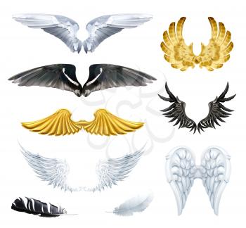 Wings, set vector illustrations