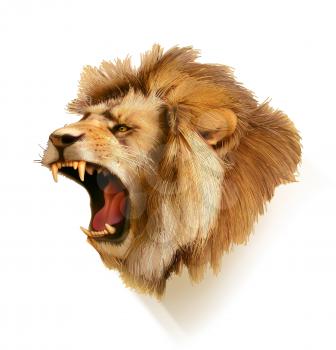 Roaring lion, head vector illustration
