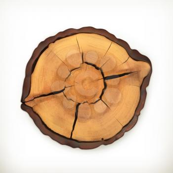 Tree stump, round cut with annual rings vector