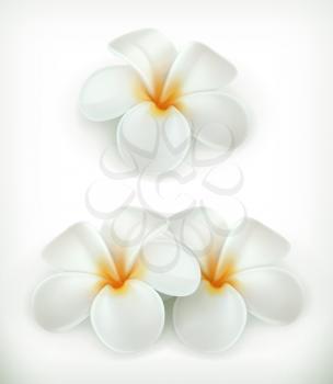 White flowers, vector icons