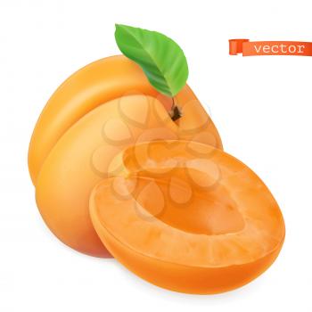 Apricot vectorized image. Fresh fruit. 3d realistic vector icon