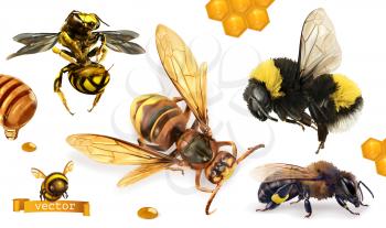 Bee, bumblebee, wasp, hornet. 3d realistic vector icon set