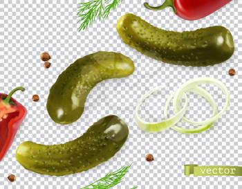 Pickled cucumbers. Gherkin, dill, pepper, onion, coriander seeds. 3d vector realistic vegetables