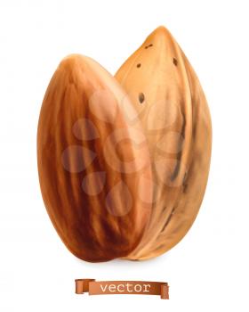 Almond nuts in shell and shelled. 3d realistic vector