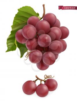 Grapes. Fresh fruit, 3d realistic vector