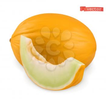 Melon. Fresh fruits. 3d realistic vector