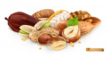 Nuts. Peanut, hazelnut, pistachios, almond, cocoa bean. 3d realistic vector illustration