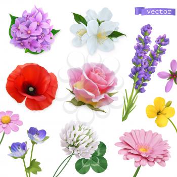 Spring flowers. Lilac, jasmine, poppy, rose, lavender, clover, chamomile. 3d realistic vector icon set