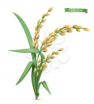 Rice plant. 3d realistic vector icon