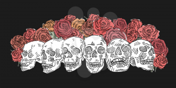 Many Skulls with Red Roses vector doodle. Vector illustration.