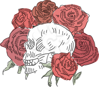Skull with roses vector doodle. Vector illustration.