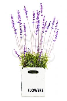 Composition of artificial garden flowers in decorative vase isolated on white background.
