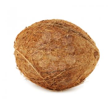 Ripe coconut isolated on white background with shadow.