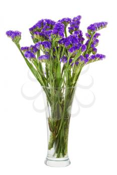 Bouquet from statice flowers arrangement centerpiece in vase isolated on white background. Closeup.