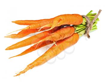 Sweet, fresh carrots vegetables isolated on white background. Closeup.