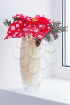 Composition from Poinsettia Plant with spruce branches in vase on windowsill. Closeup.