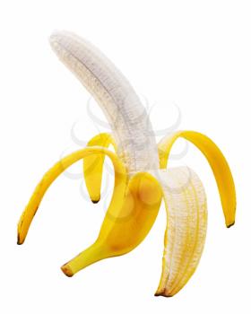 Open banana isolated on white background. Closeup. 