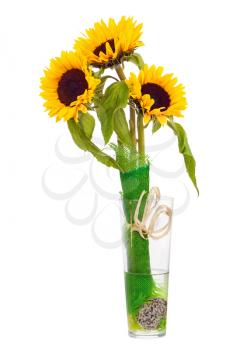 Still Life with Sunflowers in Glass Vase Isolated on White Background. Closeup.