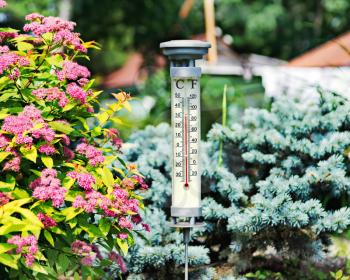 Modern outdoor thermometer in summer garden. Closeup.