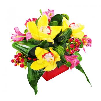 Colorful flower bouquet from orchids and lilies arrangement centerpiece in red vase isolated on white background.