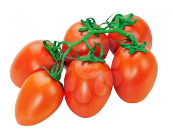 Red tomatoes on the vine isolated on white background. Closeup.