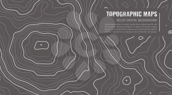 Topographic Map Contour Background. Topo Map with Elevation. Contour Map Vector. Geographic World Topography Map Grid Abstract Vector illustration in Grey Colors.
