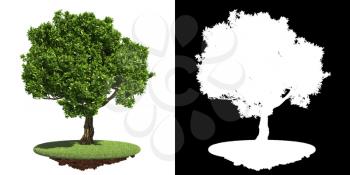 Lush Green Tree Isolated on White Background with Detail Raster Mask.