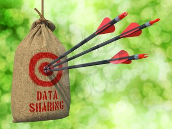 Data Sharing - Three Arrows Hit in Red Target on a Hanging Sack on Green Bokeh Background.