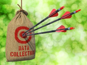 Data Collection - Three Arrows Hit in Red Target on a Hanging Sack on Green Bokeh Background.