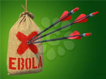 Ebola - Three Arrows Hit in Red Target on a Hanging Sack on Green Background.