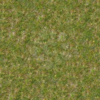 Green and Dry Grass on the Ground. Seamless Tileable Texture.